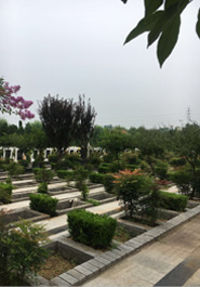 公司簡(jiǎn)介