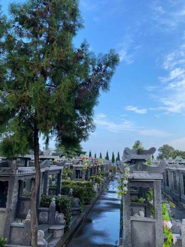 園區(qū)景觀(guān)